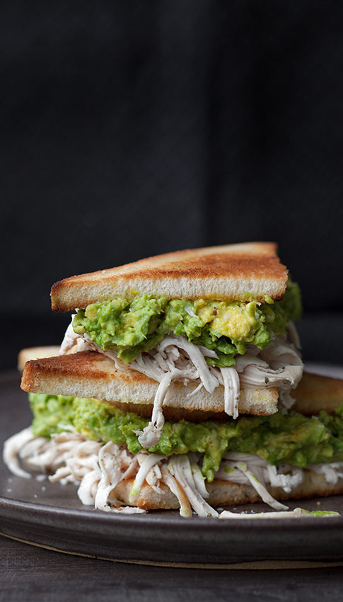 ave-palta-web