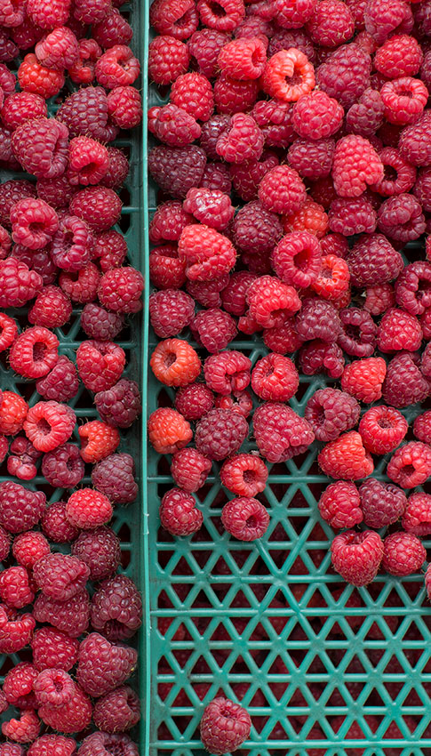 berries-web
