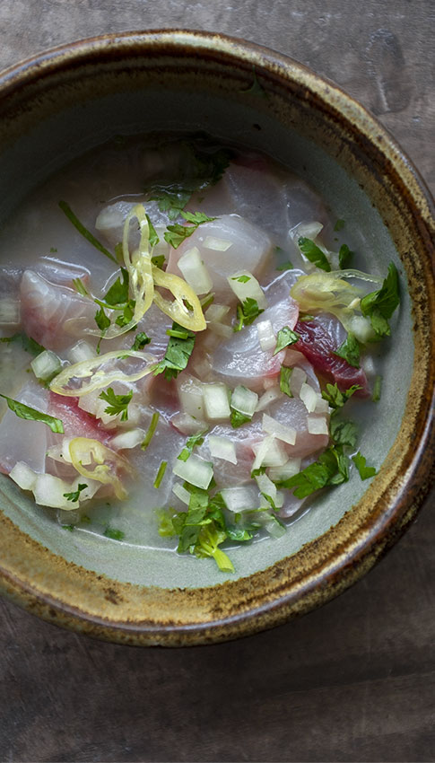 ceviche-bilagay-web