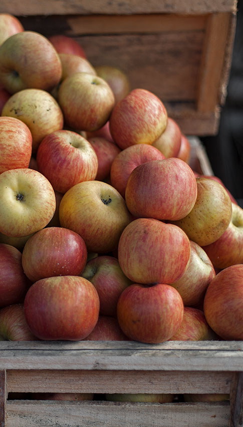 manzana-web