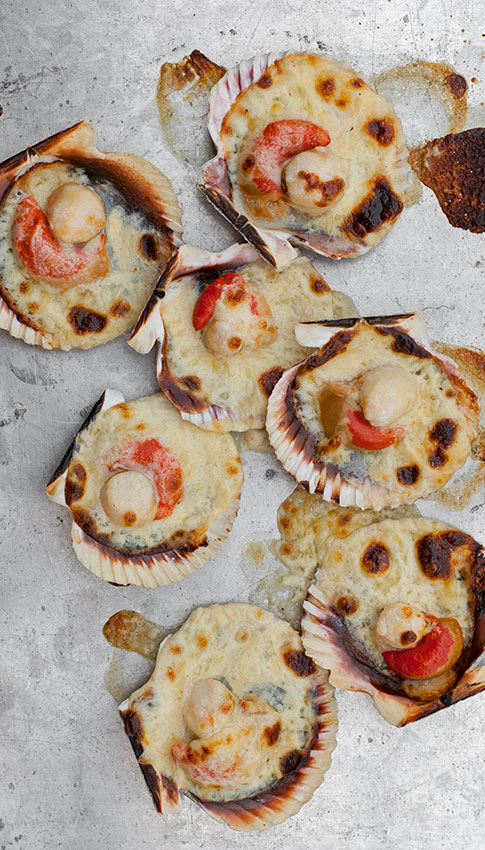 ostion-parmesana-web