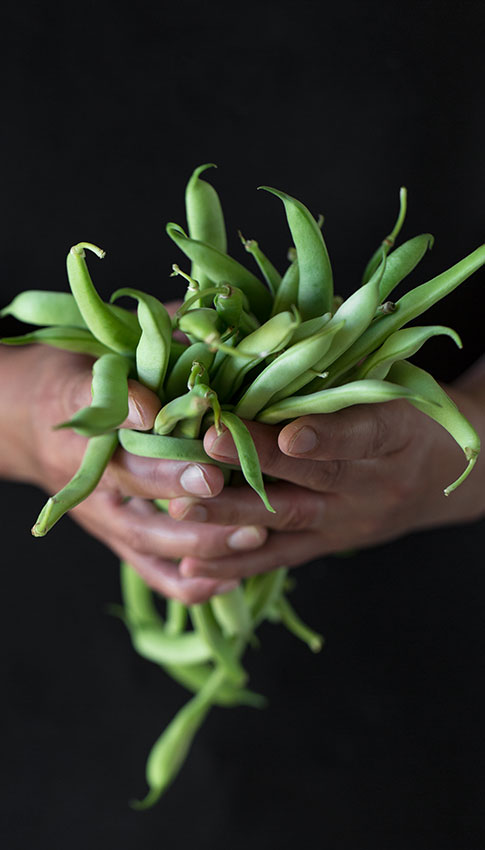 porotos-verdes-web