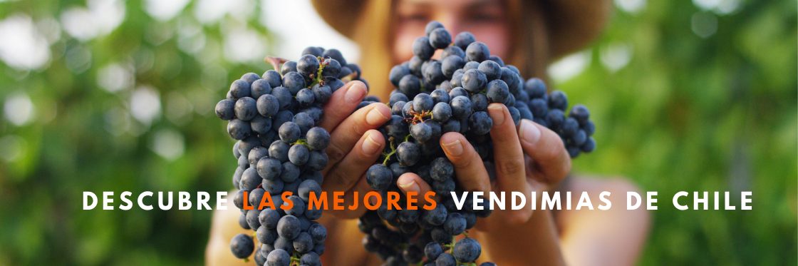 Vendimias de Chile