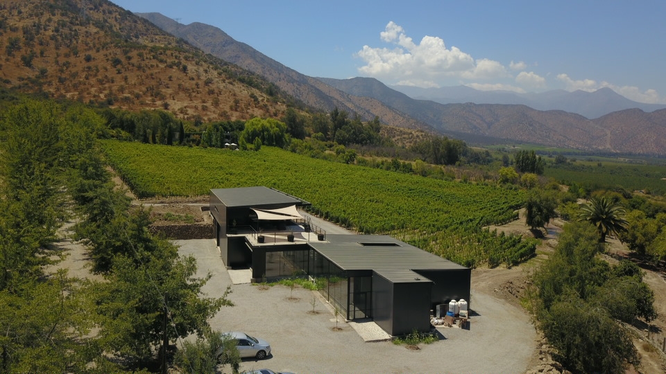 Tour Vinos Lof Chile