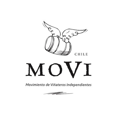 07-logo-movi.jpg