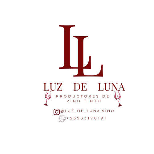 logo luz de luna 2