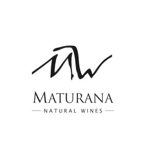 449963498_790928776508636_3567608200820480890_n