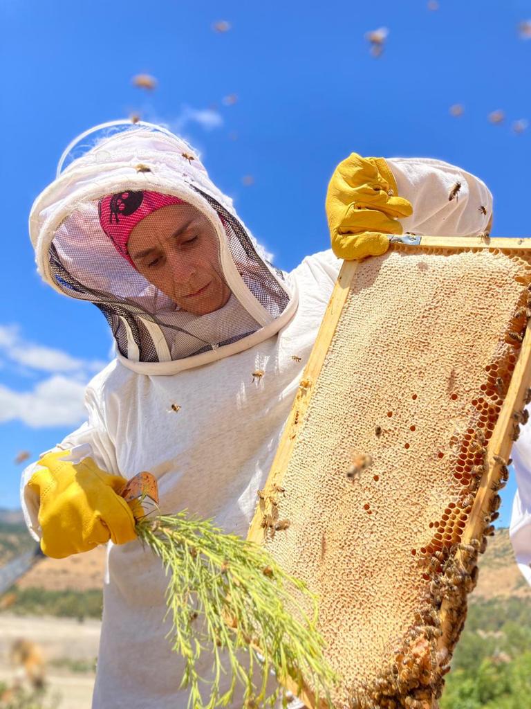 Encuentro con las Abejas y Miel Artesanal