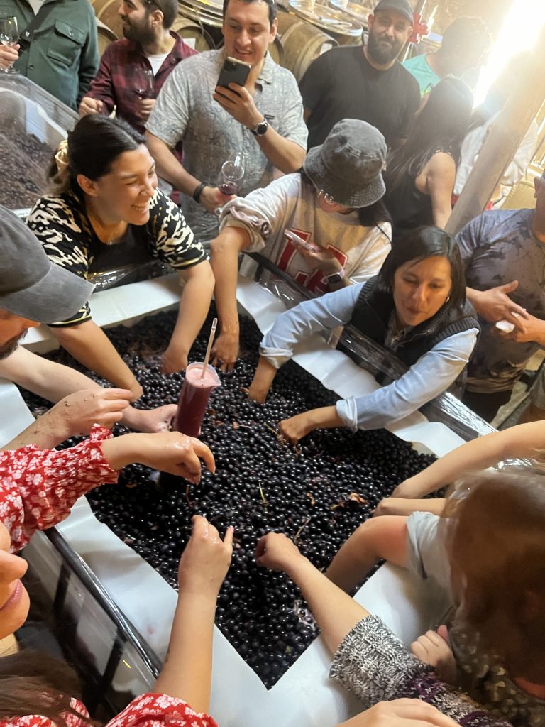 Tour con degustación de vinos