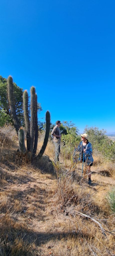Trekking Polkura