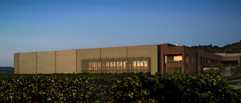 Tour Premium Viñedo Trinidad