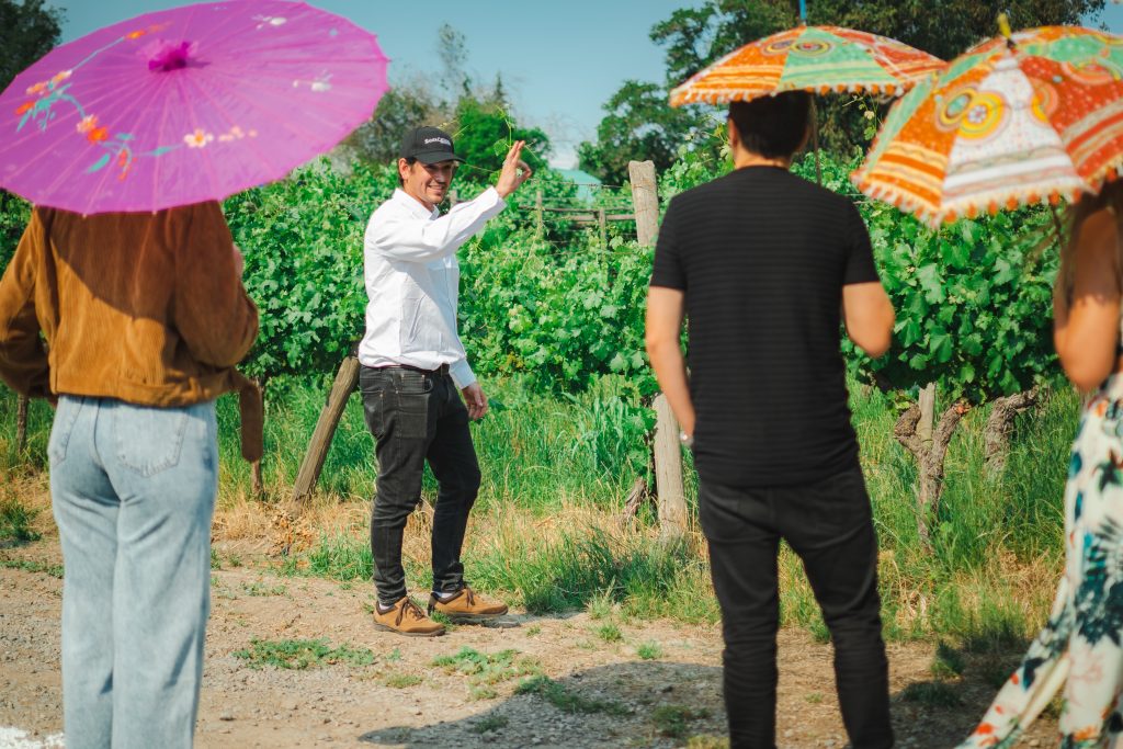 Viña Santa Catalina