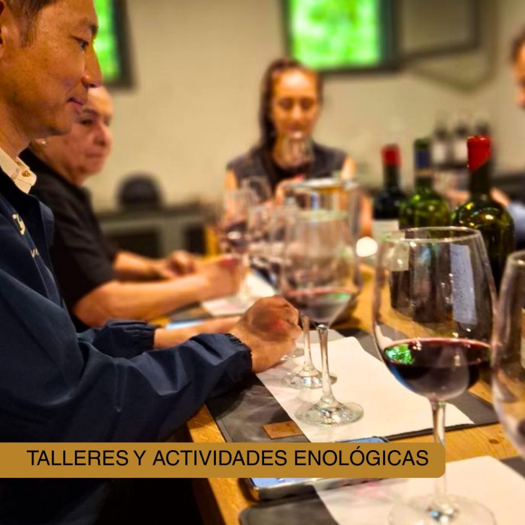 Talleres y Actividades Enológicas
