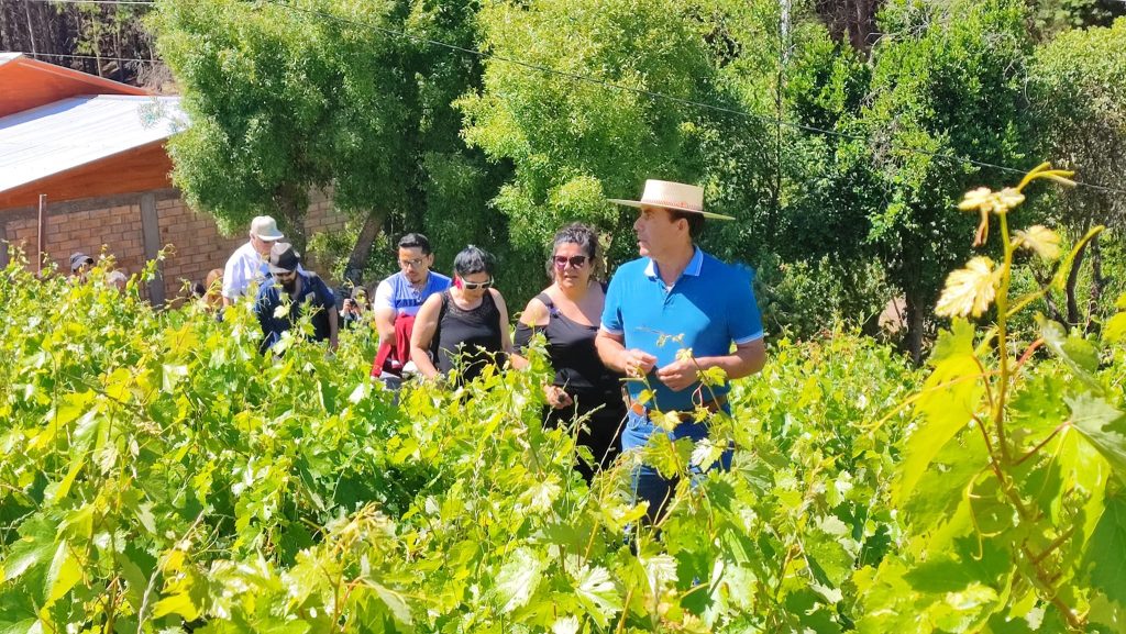 Agrupación de Viñateros El Carretero de Santa Juana