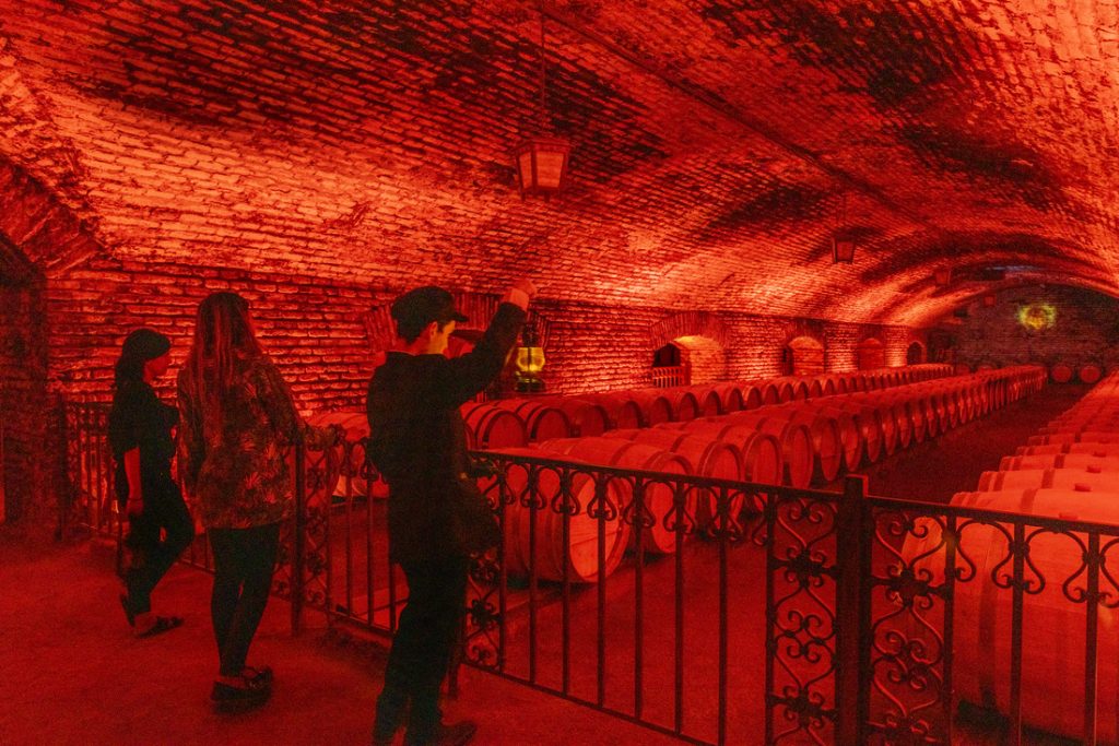 Visita Guiada Premium Centro del Vino Concha y Toro