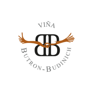 logo butron budinich