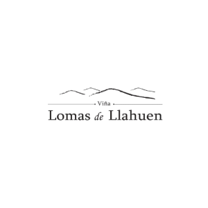logo lomas de llahuen