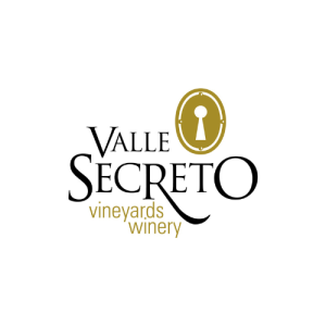 logo valle secreto