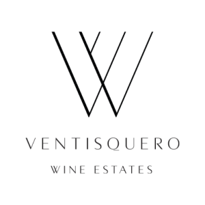 logo ventisquero (1)