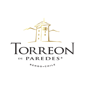 logo viña insitu (2)