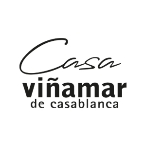 logo viñamar