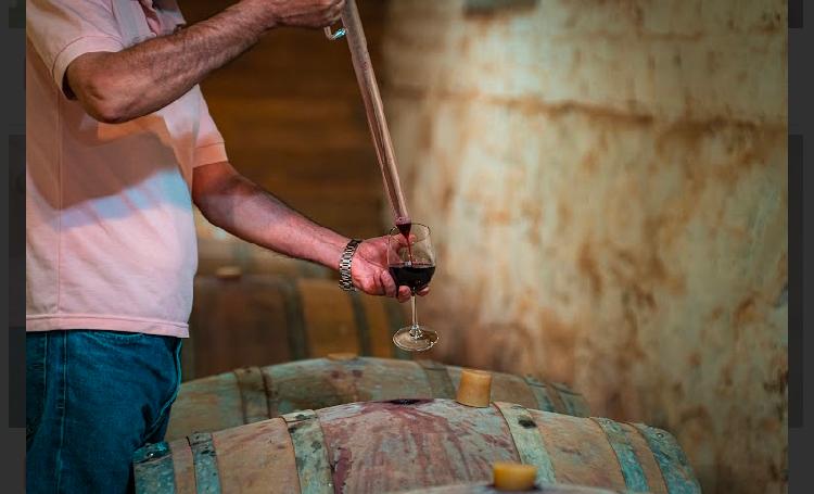 Vitivinicultor por un día