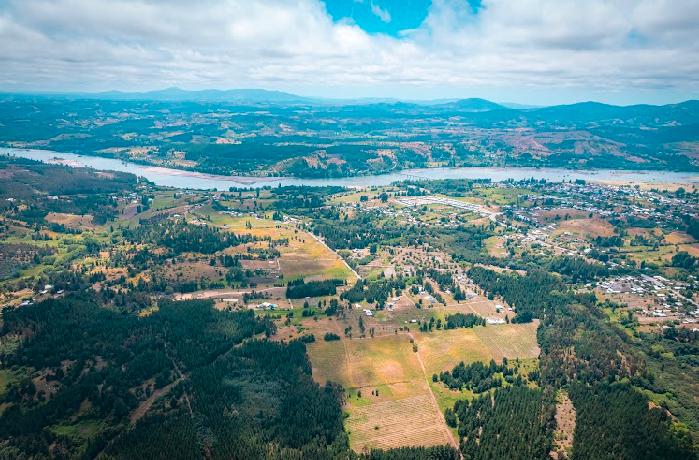 Orígenes de la vitivinicultura en Chile