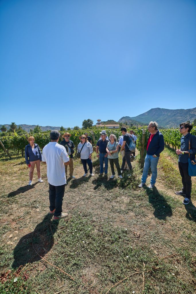 Tour Mapa del Tesoro