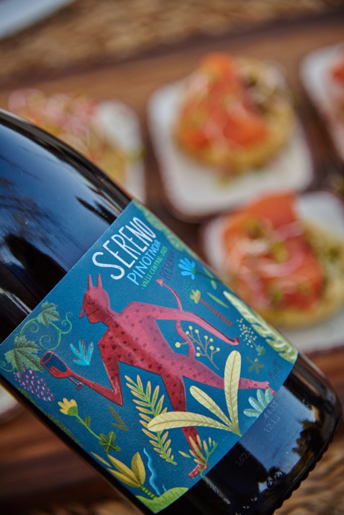 Viaje por los Valles de Chile