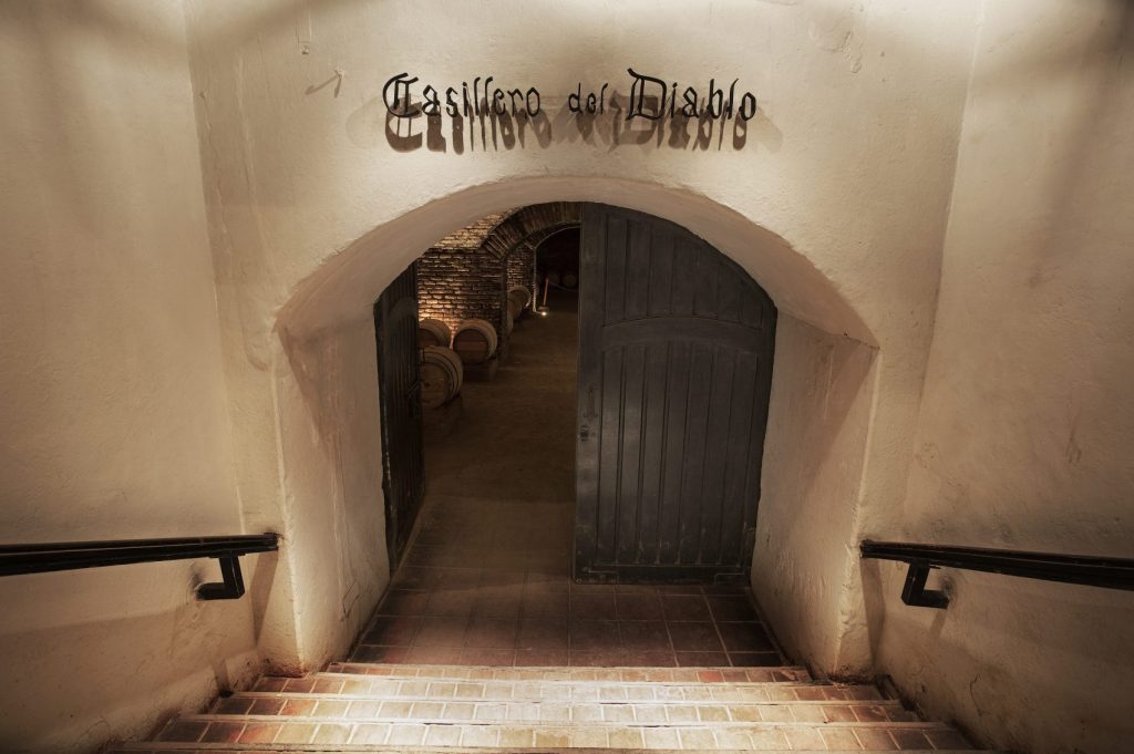 Visita Guiada Centro del Vino (sin museo)