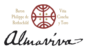 Almaviva Color ÔÇô Transparente – Camila Domeyko