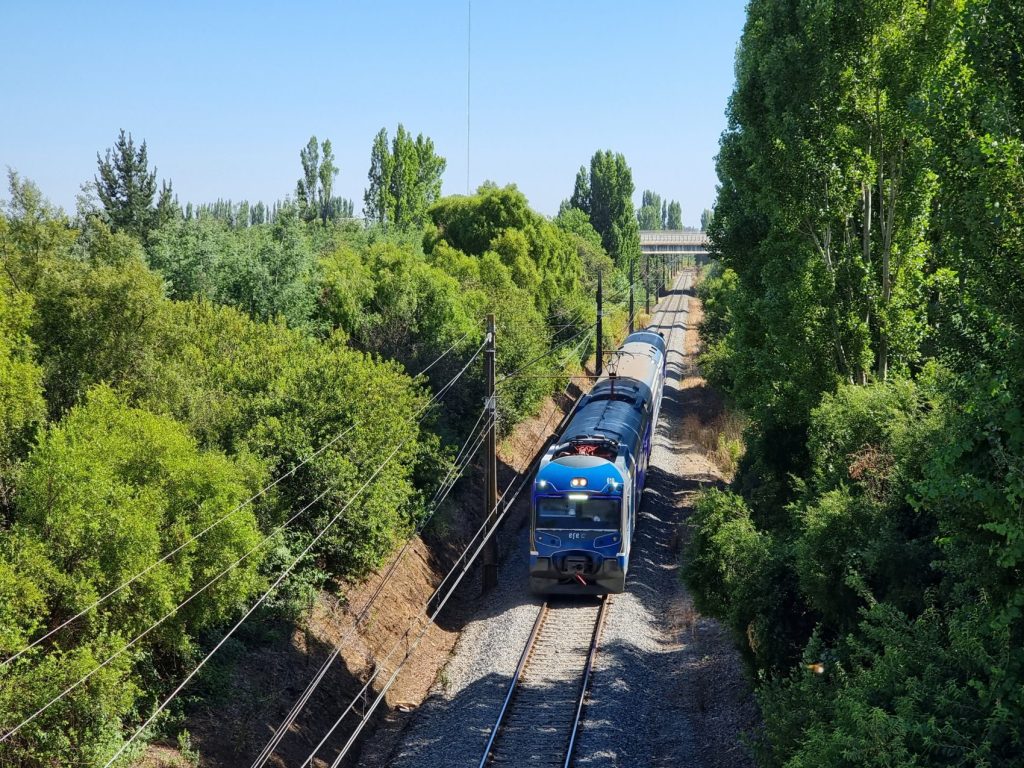 Tren Turístico Chile: Sabores del Maule-Viña Terranoble