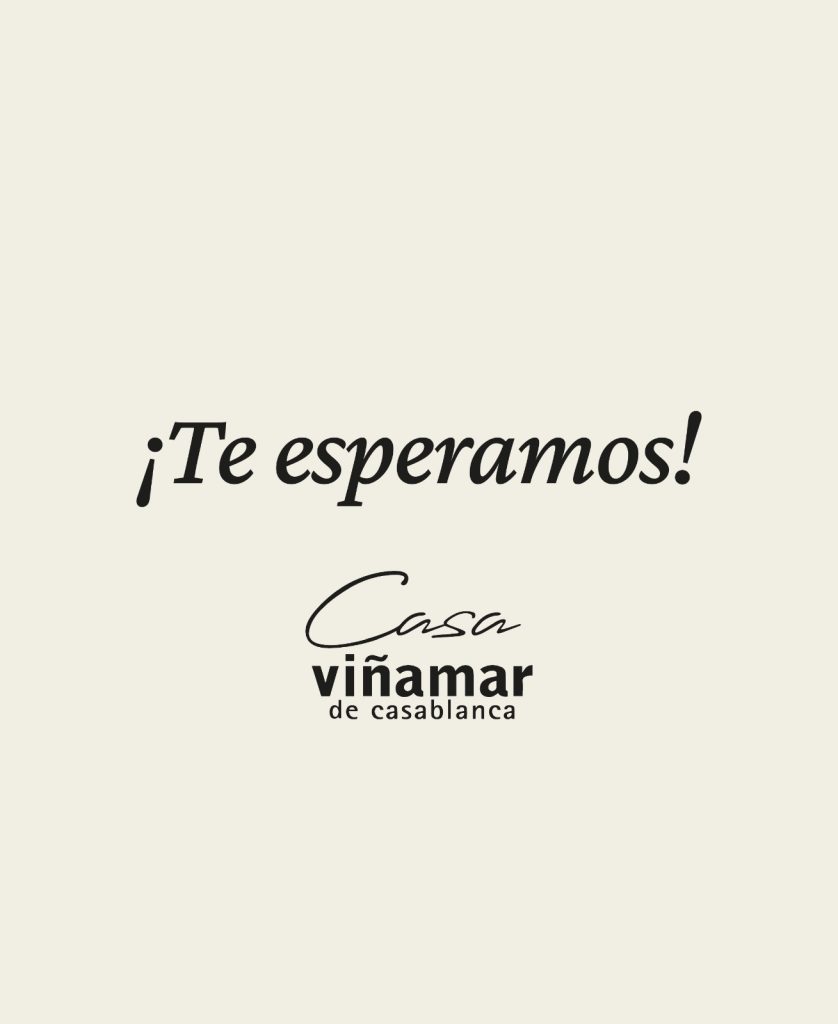 Fiesta del Verano en Viñamar