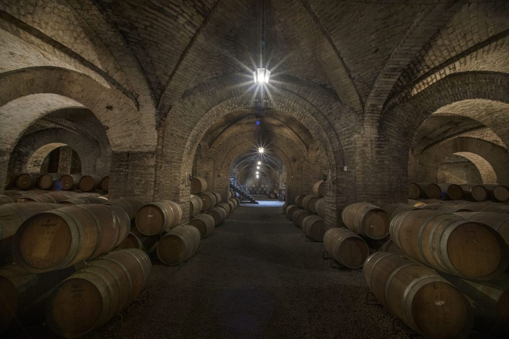 Tour Viña Santa Carolina con Traslado