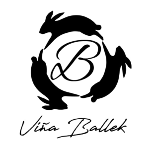 Logo Viña Ballek