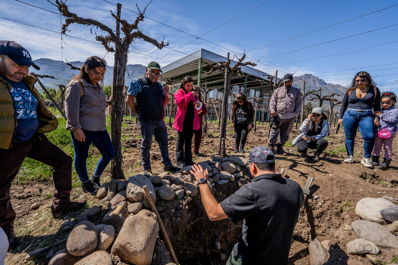 Día Nacional del Vino en Viña Choapa