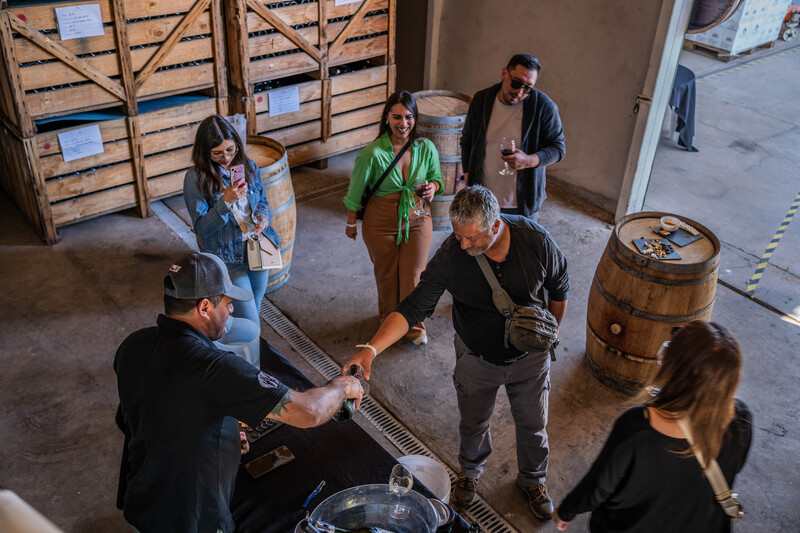 degustaciones y catas en viñedos, valle de choapa. En viña Choapa