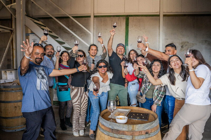 Bodegas y viñedos recorrido y con degustaciones en el valle de choapa