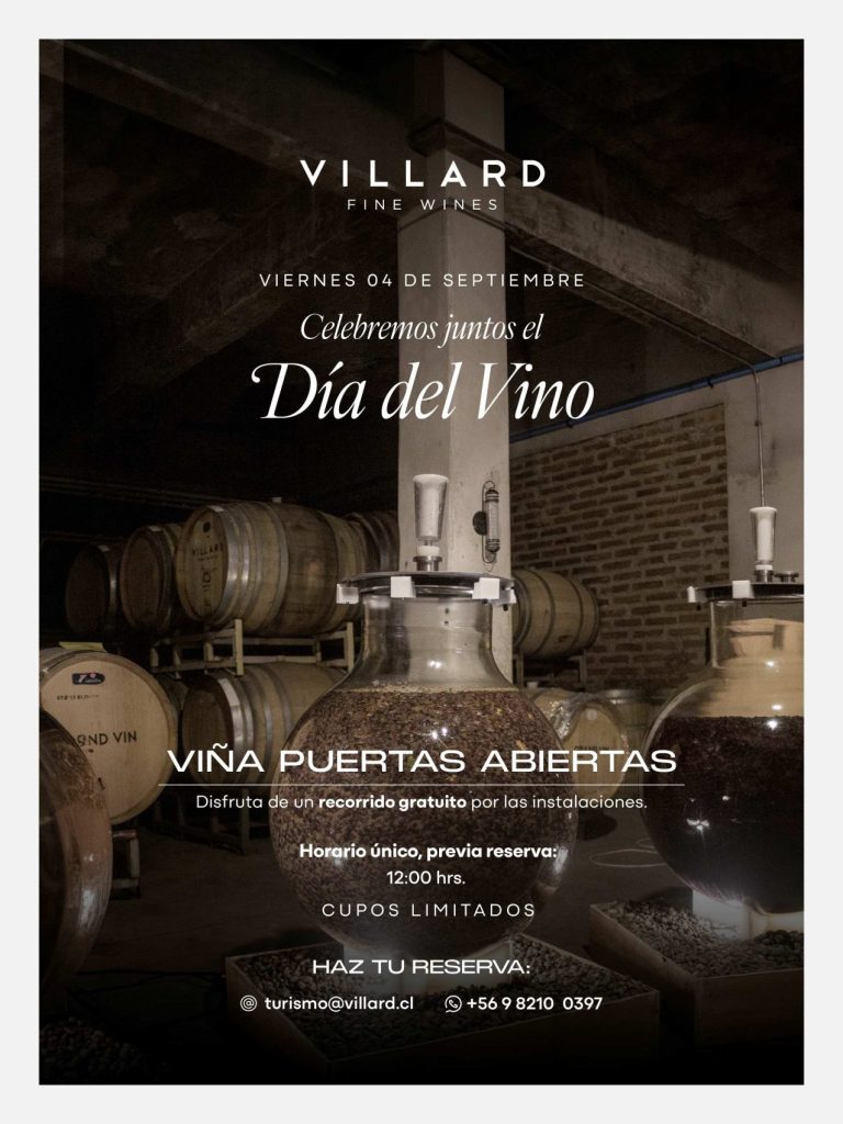 Panoramas día del vino valle de casablanca