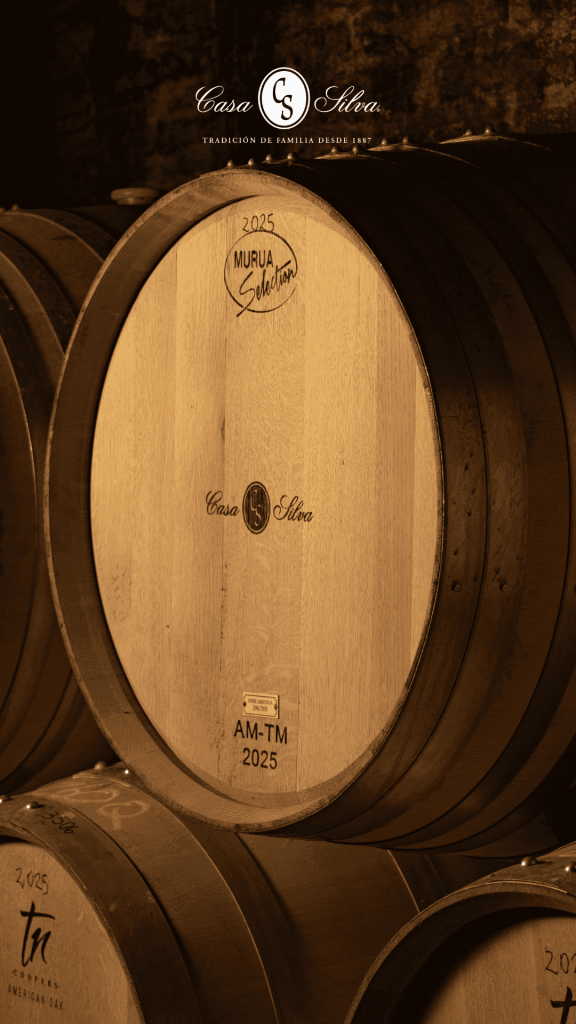 Panoramas por el día del vino, visita a bodega viña casa silva