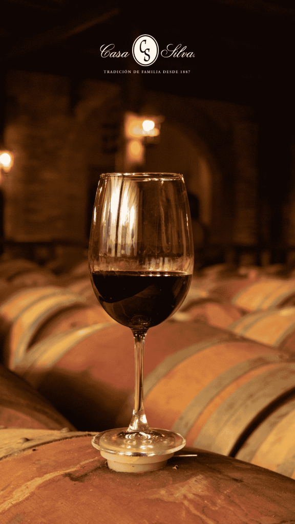 Visita casa silva, tour nocturno por el día del vino