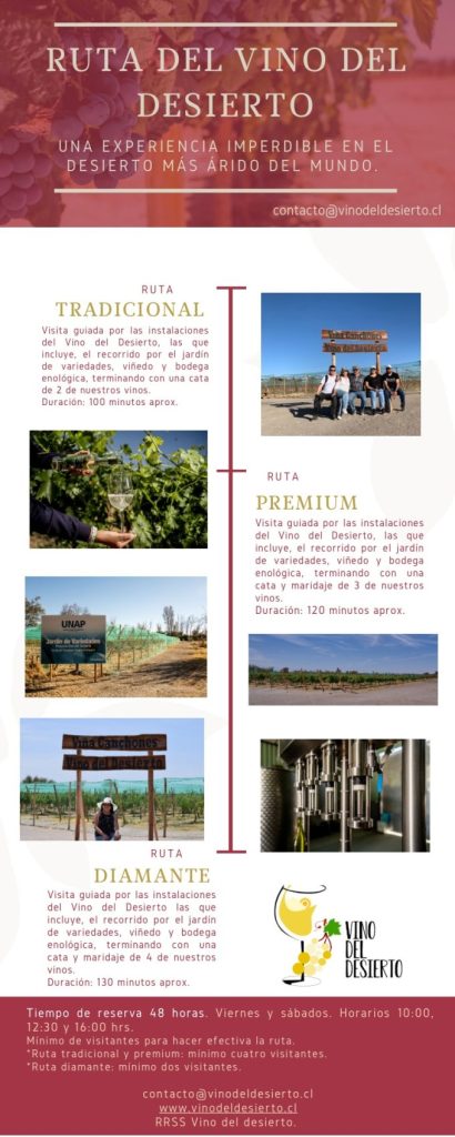 Recorrido vino del desierto