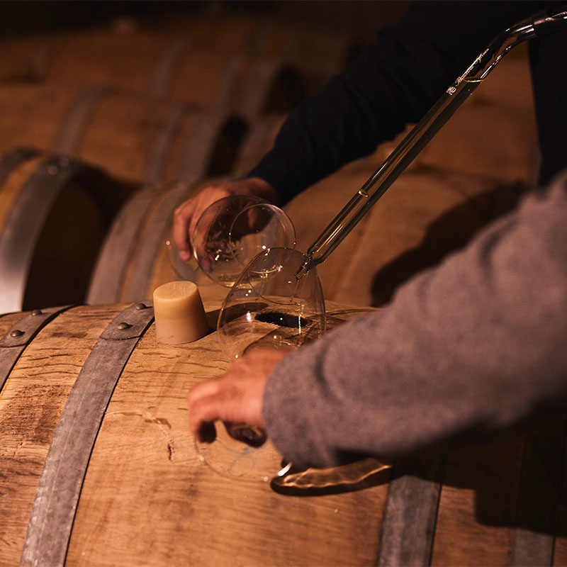 Tour Biodinámico-Especial Día del Vino