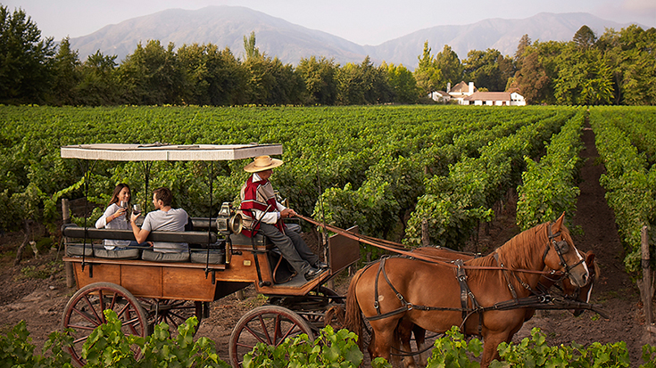 Panoramas del día del vino valle de colchagua