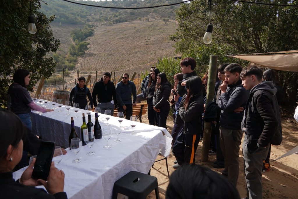 Visita con degustación en viña polkura
