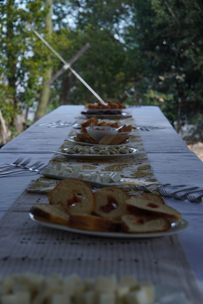Gastronomía local y maridajes en viña polkura, valle de colchagua