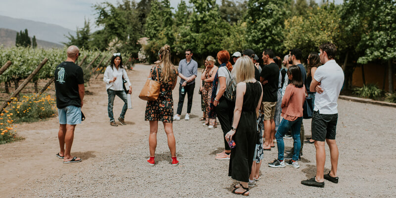 Tour In Situ