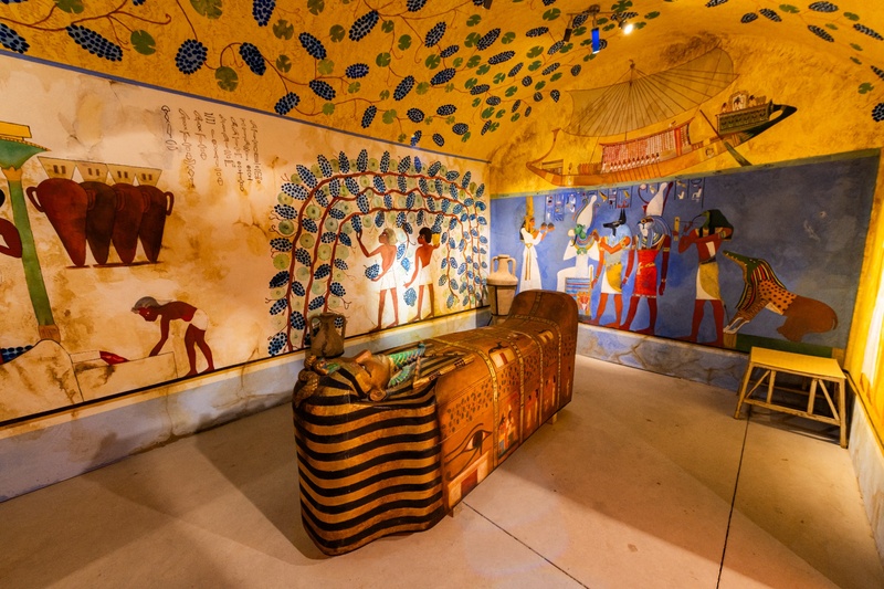 Museo del Automóvil & Museo del Vino