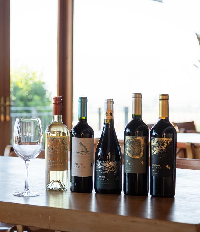 Tour Aliara-Descuentos Especiales Día del Vino