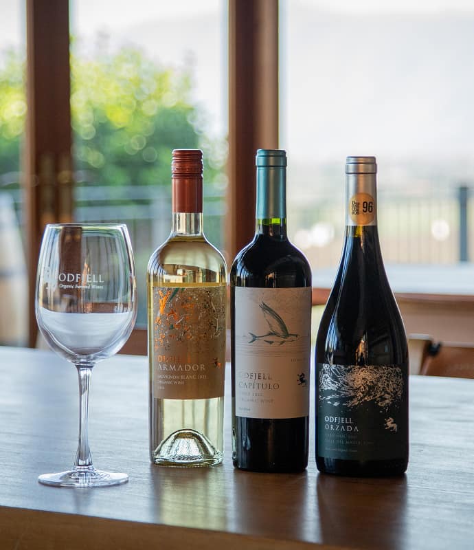 Tour Orzada-Descuentos Especiales Día del Vino